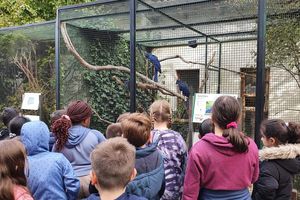 Wandertag zum Zoo Linz