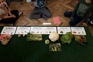 Wir lernen über Obst und Gemüse