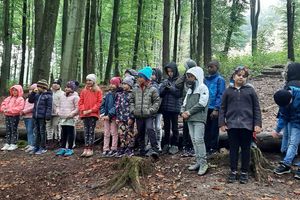 Ein Tag in der Waldschule Wilhering